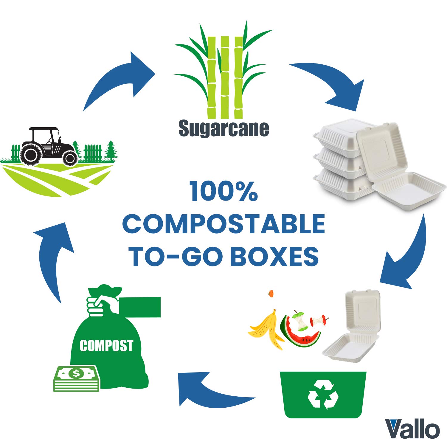 Vallo 100% Compostable Clamshell To Go Boxes For Food [8X8 1-Compartment 50-Pack] Disposable Take Out Containers, Made of Biodegradable Sugar Cane, Eco-Friendly Bagasse, Heavy-Duty ToGo Containers