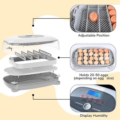 Miniatura 2 de Incubadoras para incubar de 24 a 50 huevos con indicación de humedad y control de temperatura, vela de huevo, incubadoras automáticas de aves de