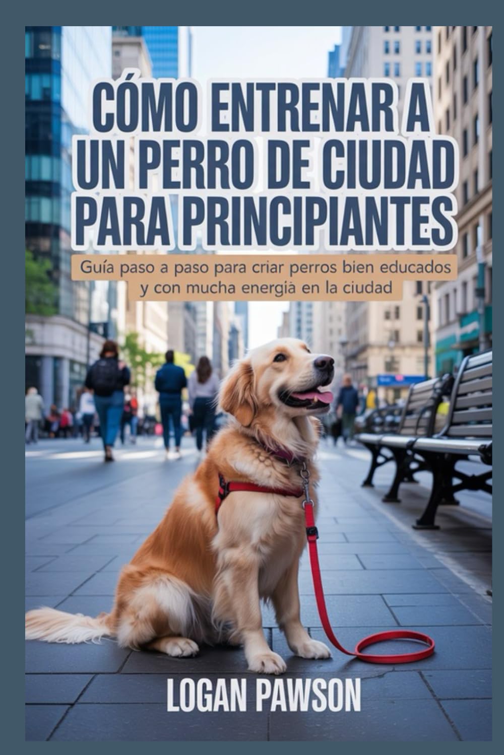 Cómo entrenar a un perro de ciudad para principiantes: Guía paso a paso para criar perros bien educados y con mucha energía en la ciudad
