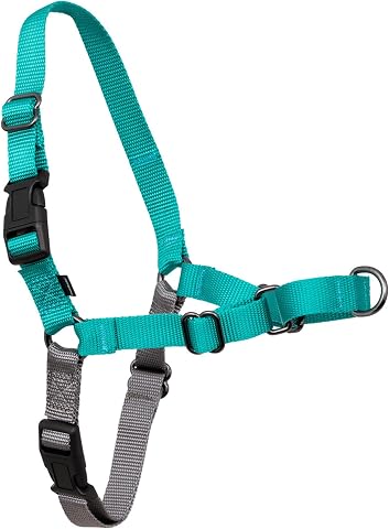 PetSafe Easy Walk No-Pull Köpek Göğüs Tasması, Çekmeyi Önlemeye Yardımcı, Kontrolü Ele Alın ve Tasmayla Daha İyi Yürümeyi Öğretin, Large, Sarımsı turkuaz/gri