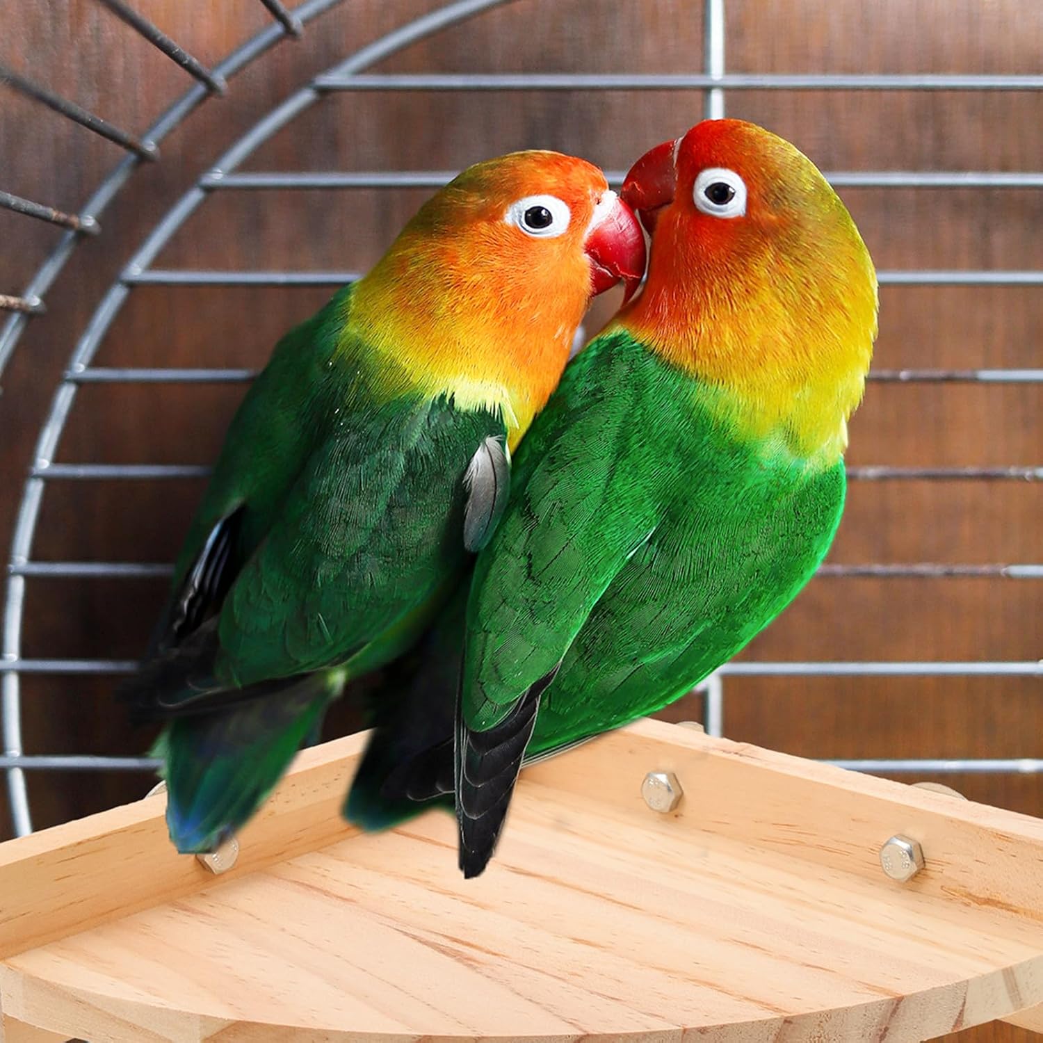 DOITOOL Large Parrot Perch Stand Triangle Wooden Roost Platform Natural Wood Cage Accessory for Birds and Parrots image 5