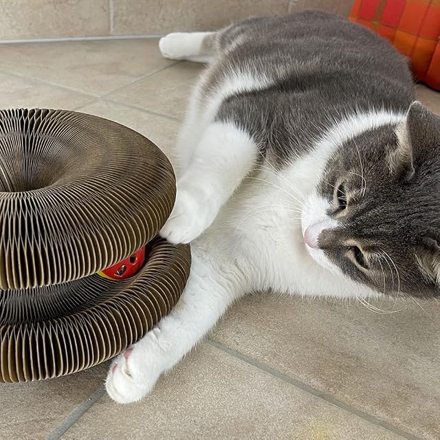 Foto 4 de 4 de EURO MARKETING MANUFACTURING Juego rascador para Gatos, Cartón, marrón, Unica