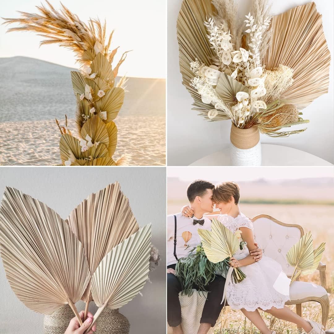 Getrocknete Palmblätter 5Pcs 18" große natürliche getrimmte Palme Speer Tropische Palmblätter Fans Boho Hochzeit Dekor Hawaiian Luau Party Urlaub Küche Tisch getrocknete Blumen Pampasgras Dekoration