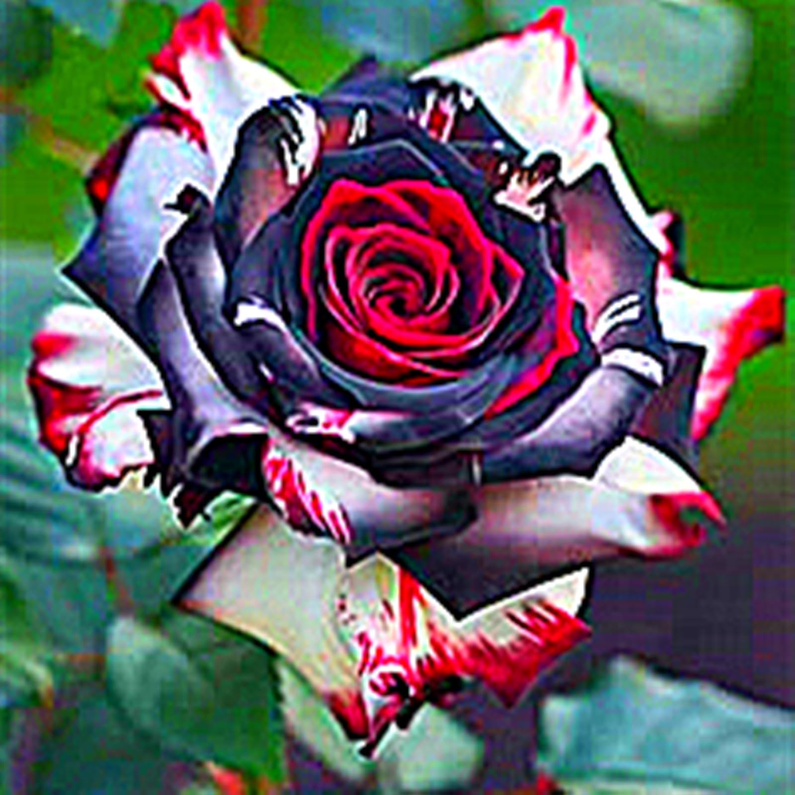 Bulbi di Rosa - Perenne, Colori vivaci, Bassa Manutenzione, Decorazione d'Interni-5 Bulbi-J