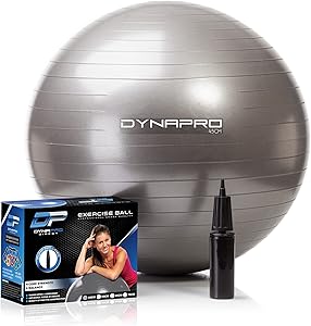 The 7 Best Exercise Ball 2 71WMpf75sRL. AC SL300
