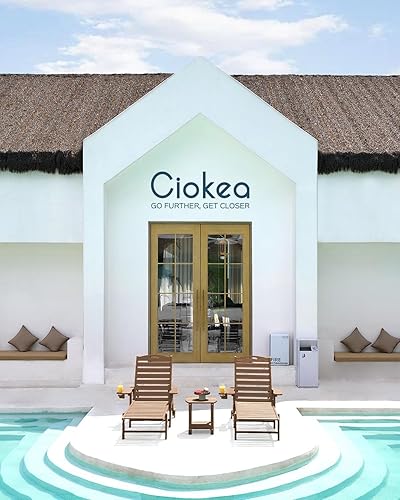 Miniatura 155 de Silla de Descanso para Exteriores, Silla de Descanso Chaise Lounge de Gran Tamaño con 5 Posiciones, HDPE, Silla de Descanso para Patio con Ruedas