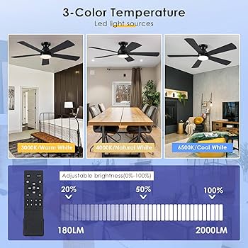 BYKISTOK Black Ceiling Fans with Lights - 52In Flush Mount