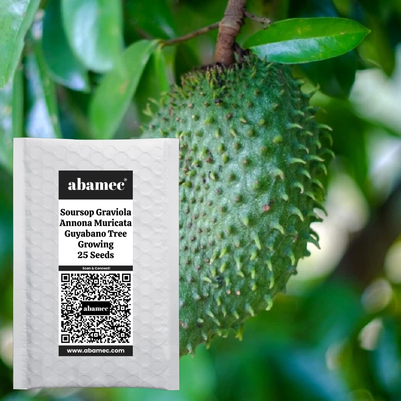 abamec Soursop Graviola, Guanabana (Annona Muricata) Plant Growing Seeds for Garden - 25 Seeds Pack