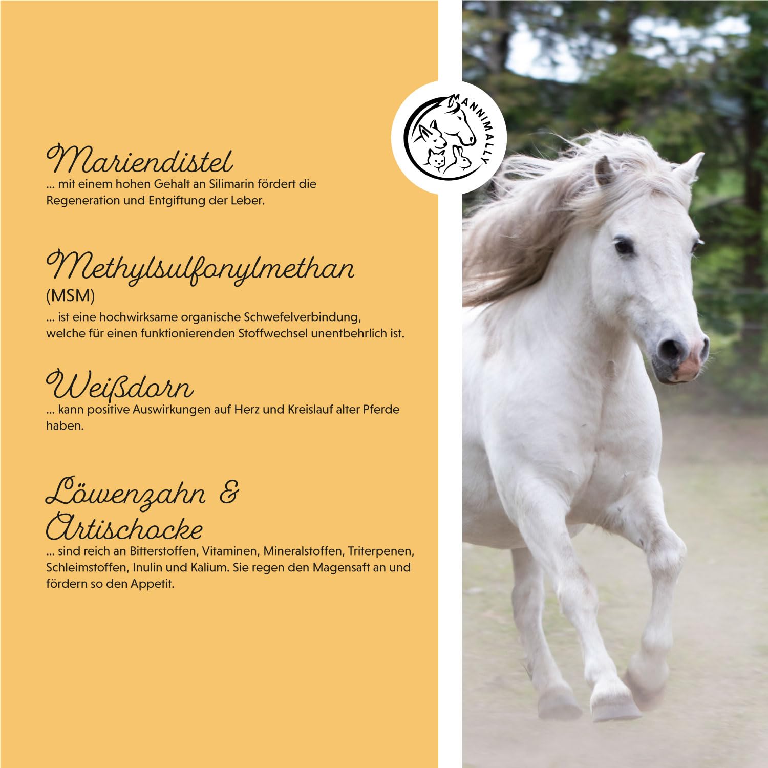 Annimally Senior Vital Pulver Pferd 2 kg mit MSM, Traubenkern, Glucosamin, Teufelskralle - Senior Zusatzfutter zur Unterstützung von Herz & Kreislauf sowie Knochen und Gelenke im Alter
