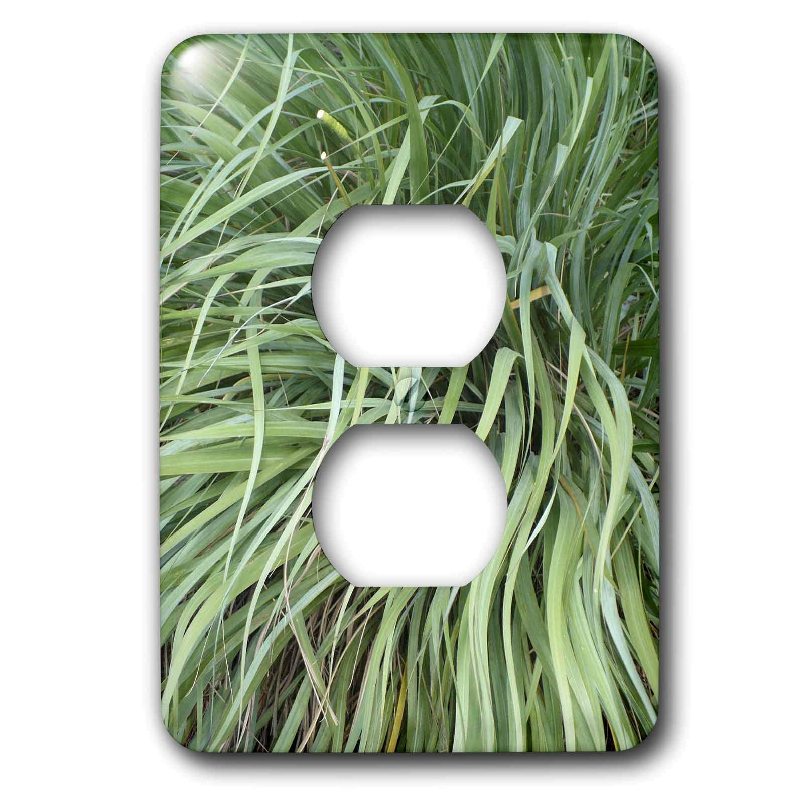 3dRose lsp_7745_6 Debs Grasses 2 Plug Outlet Cover, Multicolor