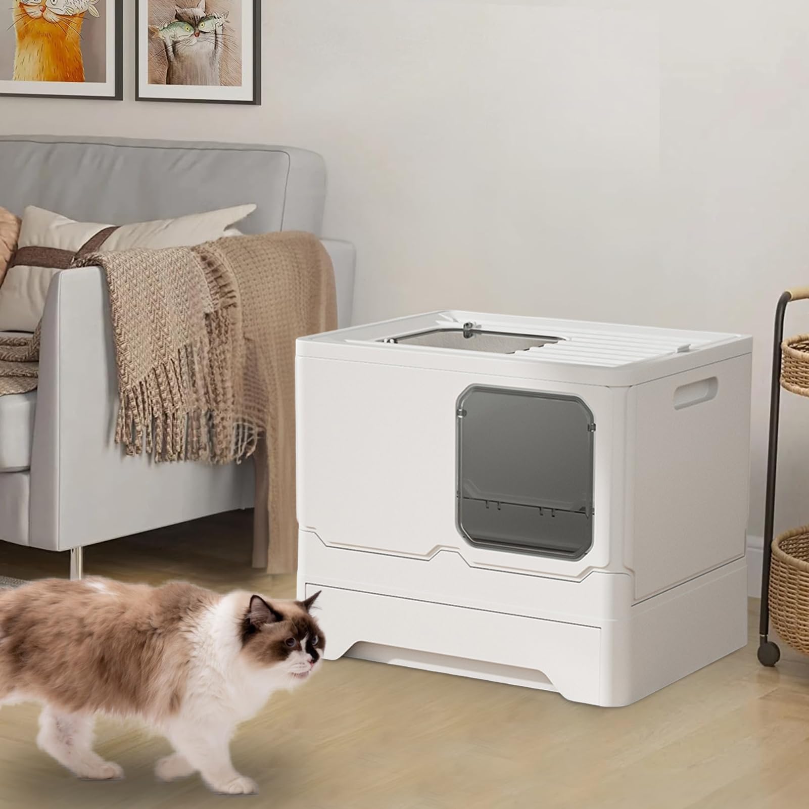 de para Gatos, de para Gatos con cajón y Pala | de para gatos, bandeja de , de para gatos con cajón y pala para gato
