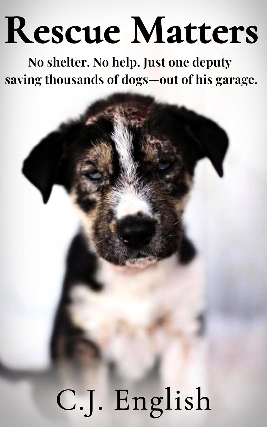 Rescue Matters: 4 Years. 4 Thousand Dogs. An Incredible True Story of Rescue and Redemption.