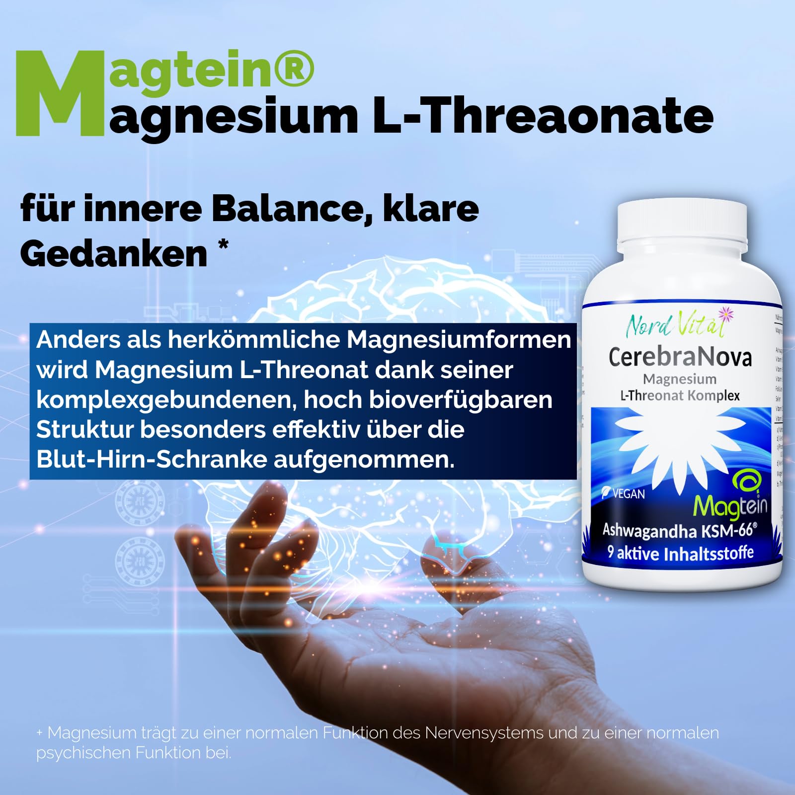 Magnesium Threonate - Magtein & Ashwagandha Komplex – Hochdosiert mit 2000 mg Magtein, 600 mg Ashwagandha KSM-66®, Vitaminen B1, B5, B6, B9, B12, D & Selen – Nord Vital Cerebra Nova - 120 Kapseln