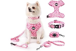 Daisy Dog Collar and Leash: The Ultimate Pet Walking Accessory