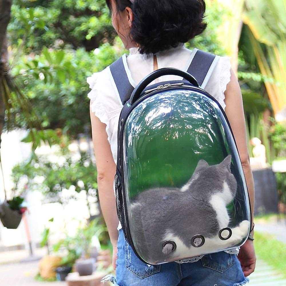 Katze Rucksack, große Haustierträger-Rucksack-Blase, Hunde-Rucksack-Träger für kleine Hunde, tragbare Tragetasche für Katze & Kaninchen, Fluggesellschaft genehmigt wasserdichte Haustier-Tragetas