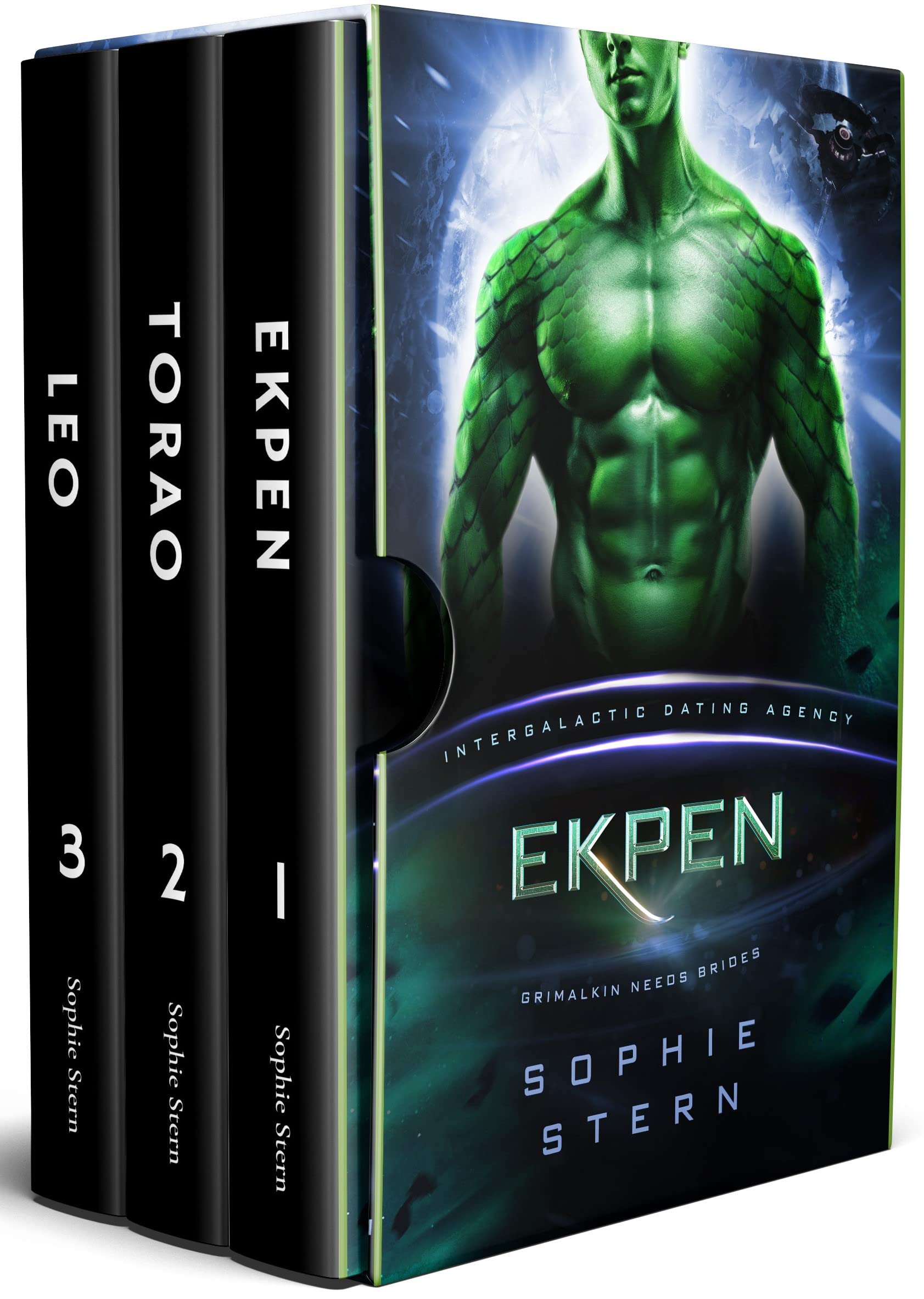 Book cover for Grimalkin Needs Brides