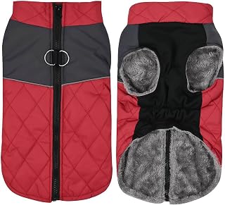 Generisch wasserdichter Haustiermantel Winterwarmer Hundemantel für kleine mittelgroße Hunde (Red, XS)
