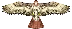 X-Kites Pipa De Nylon Para Pássaros X Kites Birdsofprey Hawk, 51 Polegadas Largura
