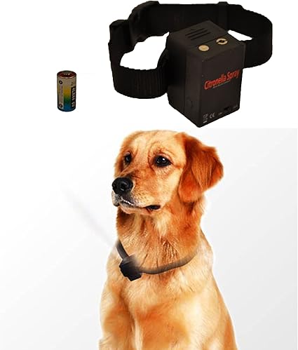 amazon bark collar citronella