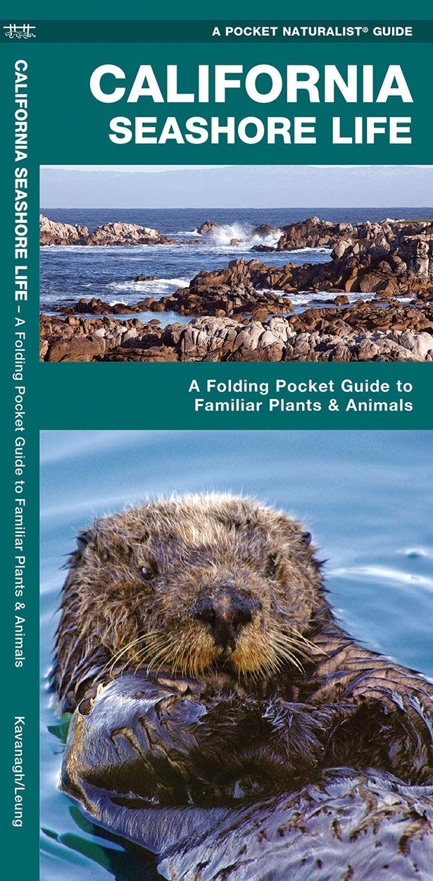 California Seashore Life: A Folding Pocket Guide to Familiar Plants & Animals (A Pocket Naturalist Guide)