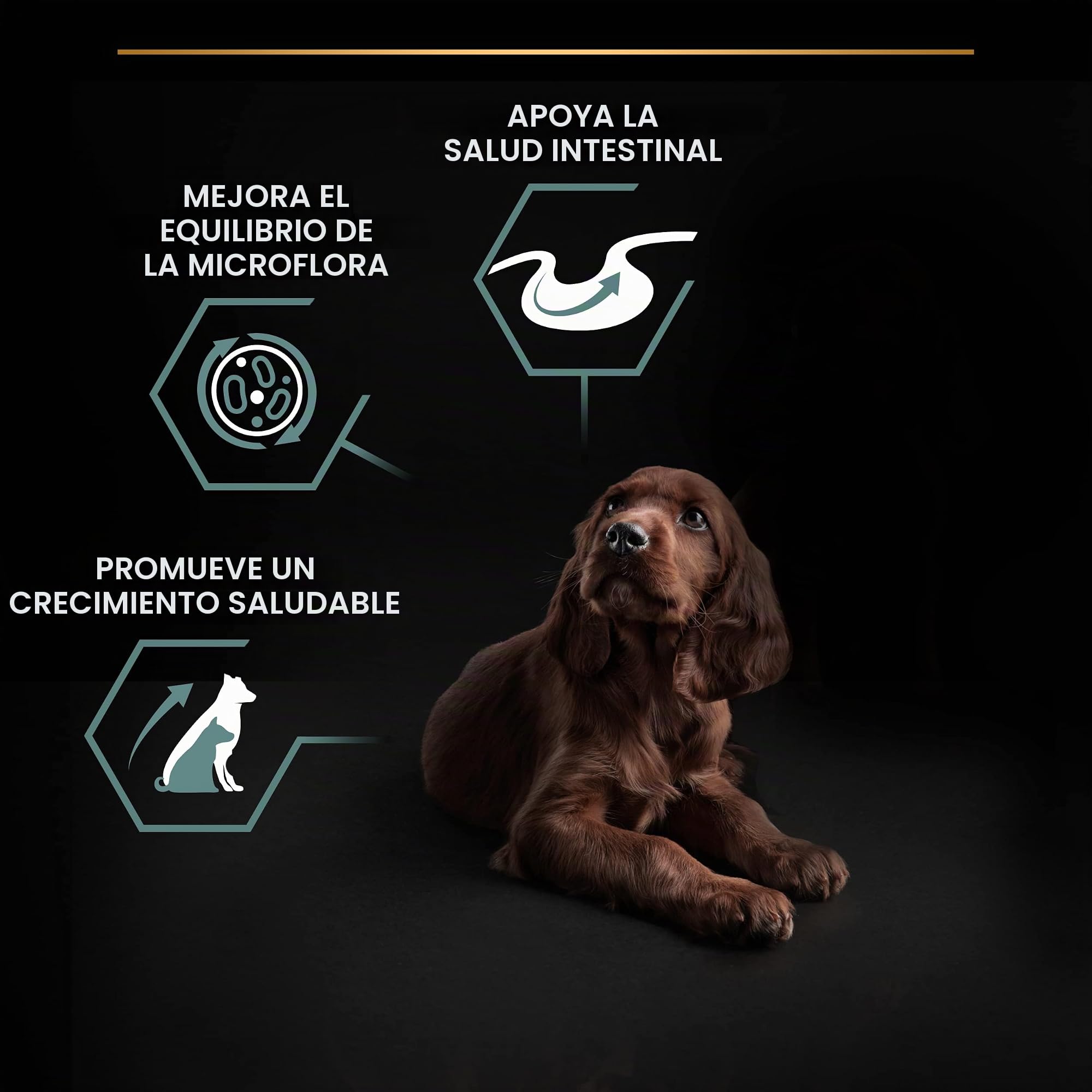 PURINA PRO PLAN Large Athletic Puppy Sensitive Digestion cordero