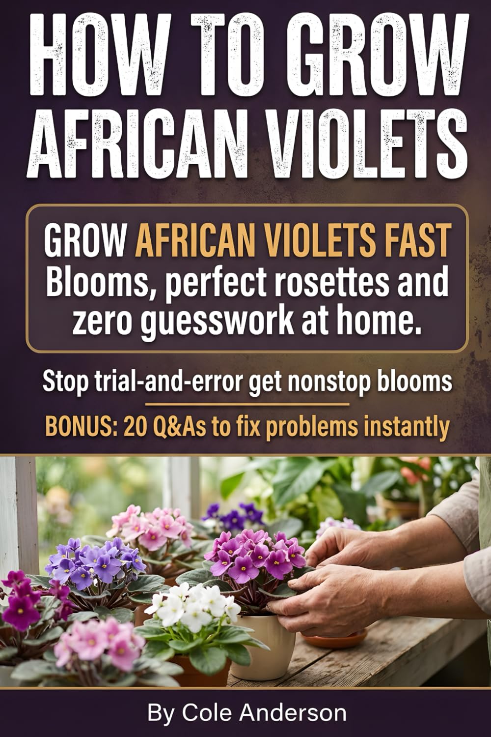How to Grow AFrican Violets: light, watering, potting mix, feeding, propagation, and fixes that keep your african violets plant compact and packed with african violets flowers.