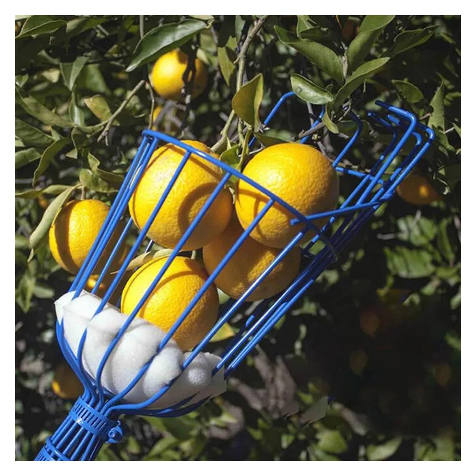 Obstpflückerkopf mit tiefem Korb, praktischer Auffangbehälter, kompatibel mit Apfel-Pfirsichpflücker, Bauernhof-Gartengeräte