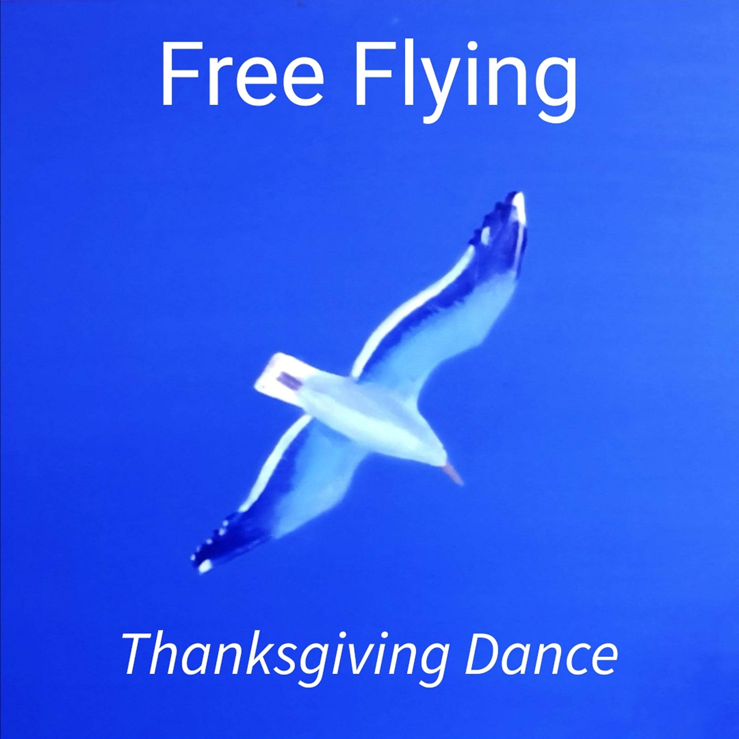 Free Flying