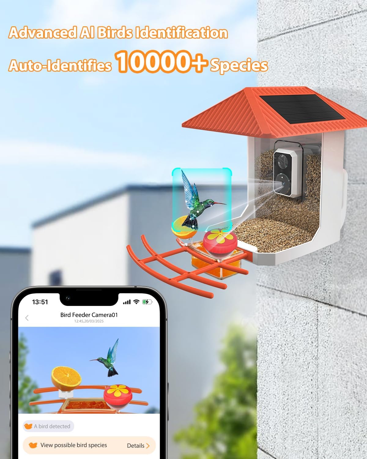 2.5K Smart Bird Feeder with Camera Outdoor Solar Powered, 2.4GHz/5GHz WiFi Birds Watching Camera with Auto Capture & AI Identification, Real-time Notifications, Gift for Bird Lovers