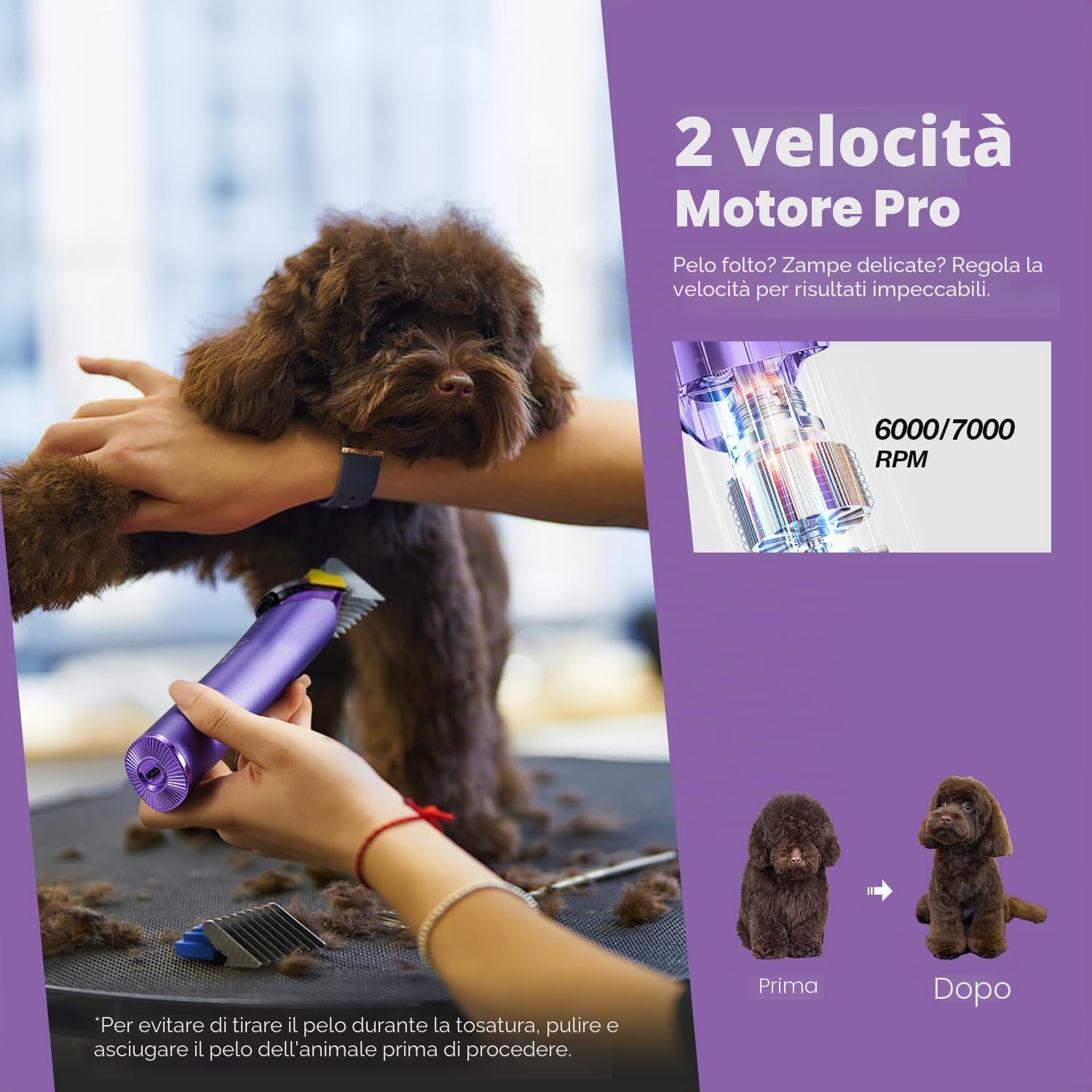 Tosatrice per cani professionale con lama di ricambio, kit per la toelettatura degli animali domestici senza fili con lama regolabile 5 in 1, rifinitore ricaricabile a 2 velocità