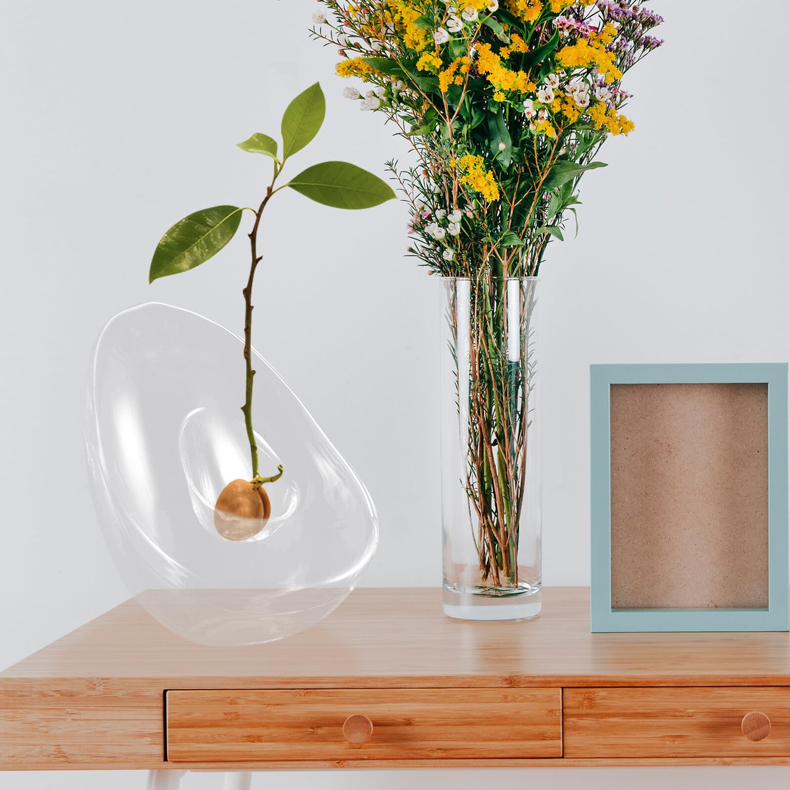 VICASKY Vase Hydroponique en Verre D’Avocat, Pot de Culture à Large Ouverture pour Bulbe D’Avocat, Support Transparent pour Propagation de Plantes D’intérieur, Décoration Maison et Bureau