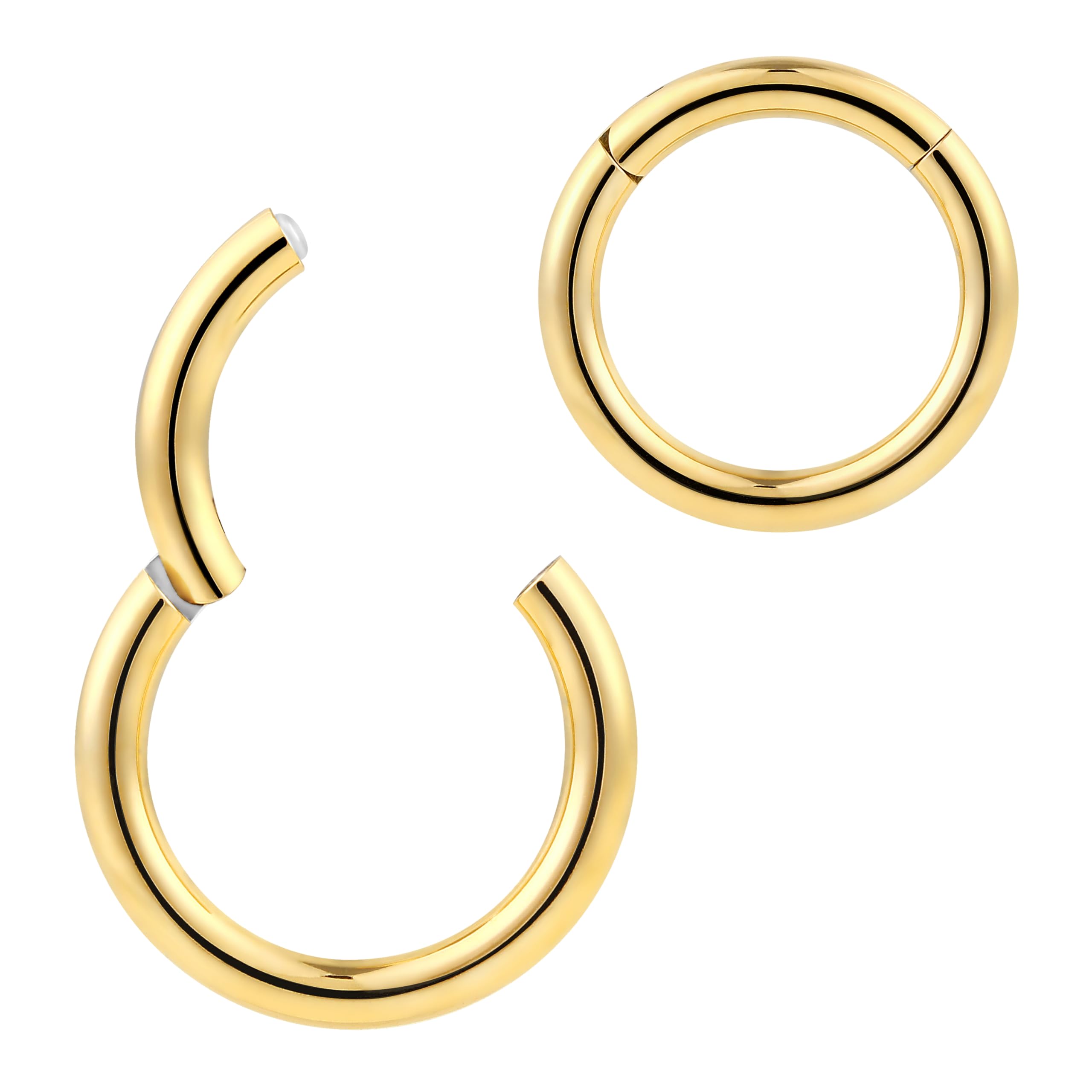 365 SLEEPERS 1pc Titanium Implant Grade Nose Rings 20G 18G 16G 14G 12G 10G 8G 6G Septum Hinged Segment Ring Body Piercing Jewellery Hoop Lip Rings Helix Cartilage Rook Earrings Nickel Free — view 11