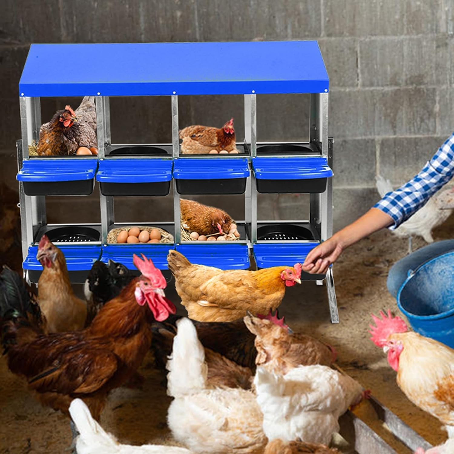 Chicken Nesting Boxes, 8 Hole Metal Chicken Laying Box with with Removable Trays and Roll Out Egg Collection for Chicken Coop, with Metal Bracket, Blue