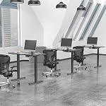 SHOPPINGALL Single Motor Height Adjustable Electric Sit to Standing Desk with Splite 48 x 24 Inch Tabletop Board, 3 Memory Button Controller with USB and Type C Port - SA-JSD5-2P-Black