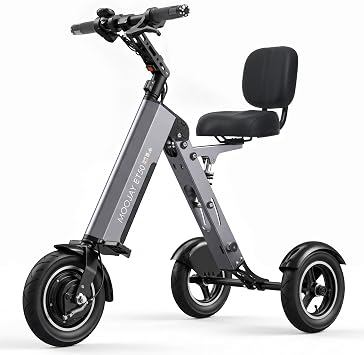 Electric Scooter 3 Wheels Foldable E-Trike with Backrest Seat for Adults