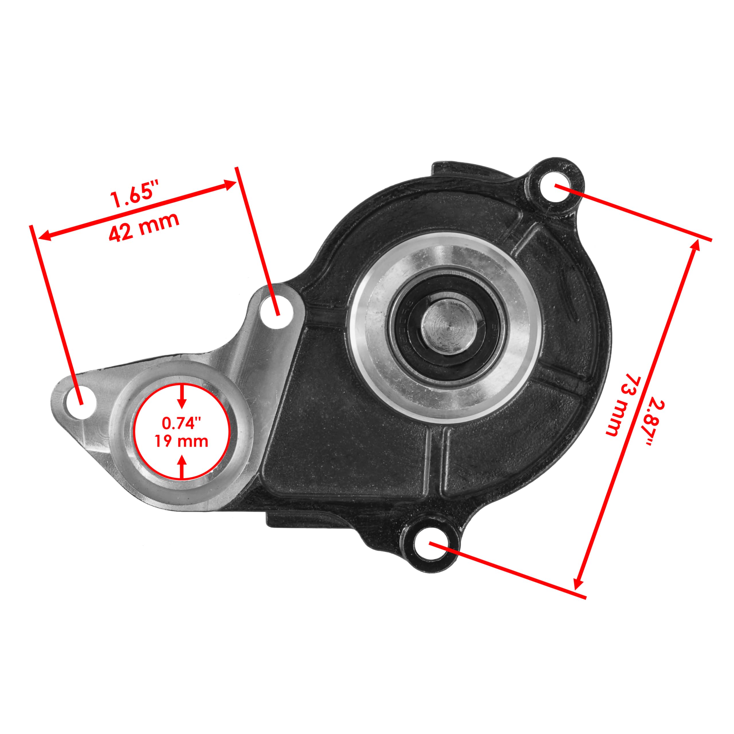 Amazon.com: Caltric Water Pump Assembly Compatible with