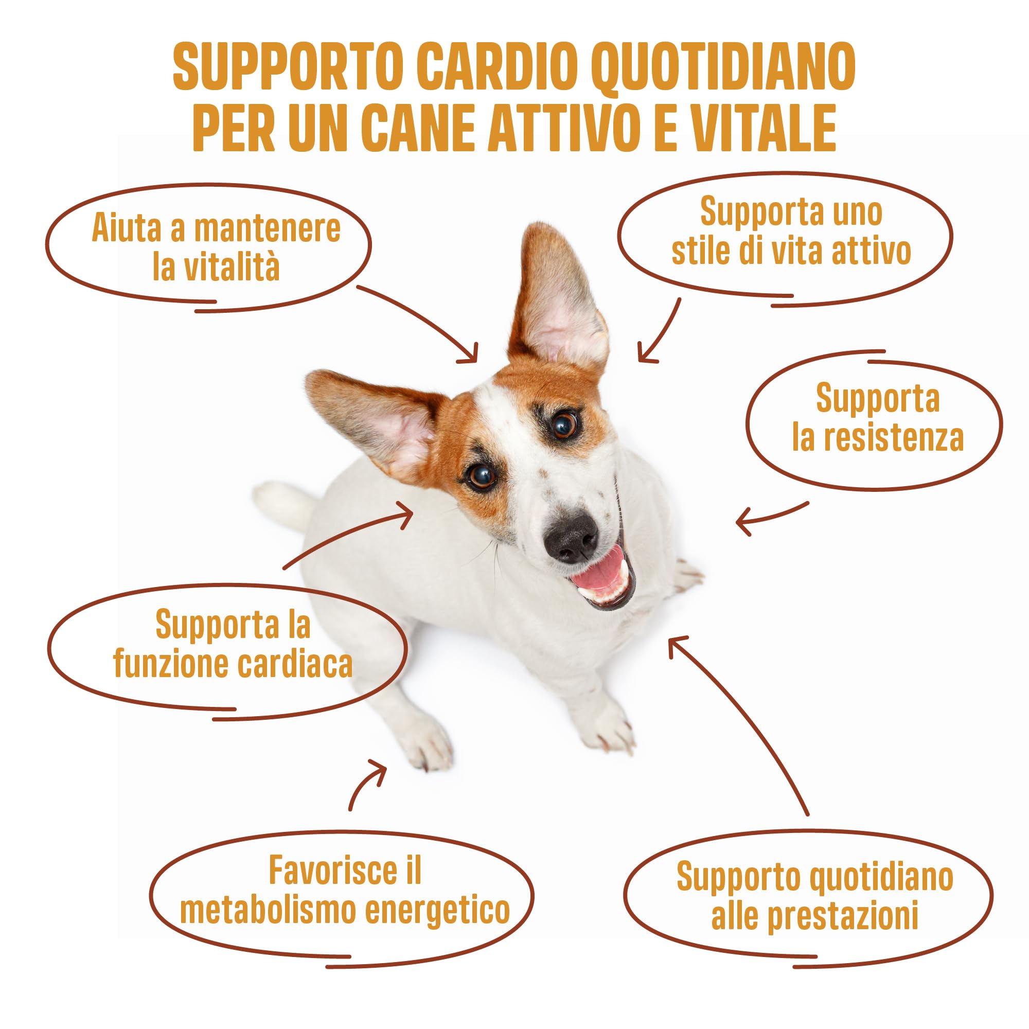 ivvi Cardio per cani – 60 snack morbidi con L-carnitina, taurina, L-arginina, magnesio, olio di salmone, bacche di biancospino e melograno – funzione cardiaca, energia e vitalità – con pollo – 270 g