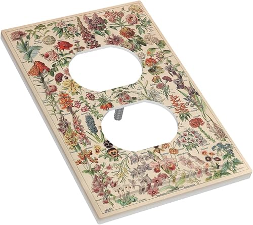 Vista 400 de Cubiertas decorativas de salida de estrella de mar playera, tablero de madera azul de concha de mar de 1 banda, decoración individual GFCI, placa