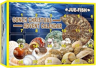Shell Collection box for kids, Shell Advent Calendar, Christmas Shell Advent Calendar, Calendar Countdown Christmas Festival Calendar Countdown, Christmas countdown calendar (Multi)