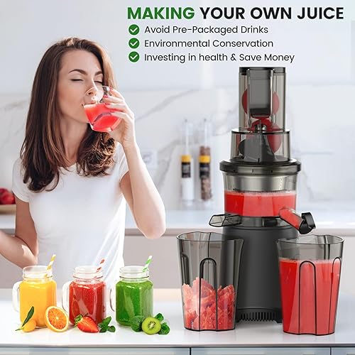 Miniatura 3 de Juicer frío que masticaba lento de la prensa Máquinas prensadas en frío del Juicer para la verdura y la fruta 200W, gris mate