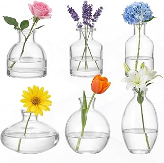Glass Bud Vases Set of 6, Small Clear Flower Vases for Wedding Centerpiece Vintage Mini Glass Flower Bottles for Floral Arrangement Party Home Office Dining Table Decor