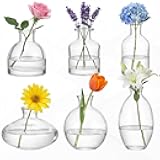 Ninehaoou Glass Bud Vases Set of 6, Small Clear Flower Vases for Wedding Centerpiece Vintage Mini Glass Flower Bottles for Floral Arrangement Party Home Office Dining Table Decor