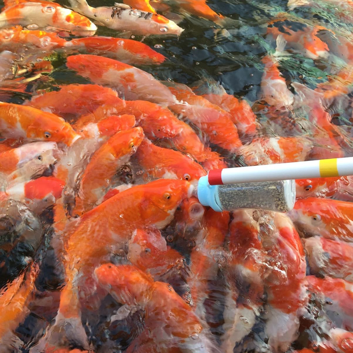 Kisangel 2pcs Fish Feeder Bottle for Aquarium Carp Dispenser Pole Easy to Clean and Install for Feeding Fish and Carp Tanks