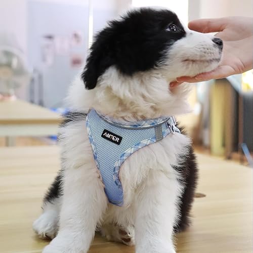 Vista 40 de AMTOR - Arnés para perro con correa, arnés reflectante, ajustable y sin tirones para cachorros con chaleco acolchado para perros y gatos Beige