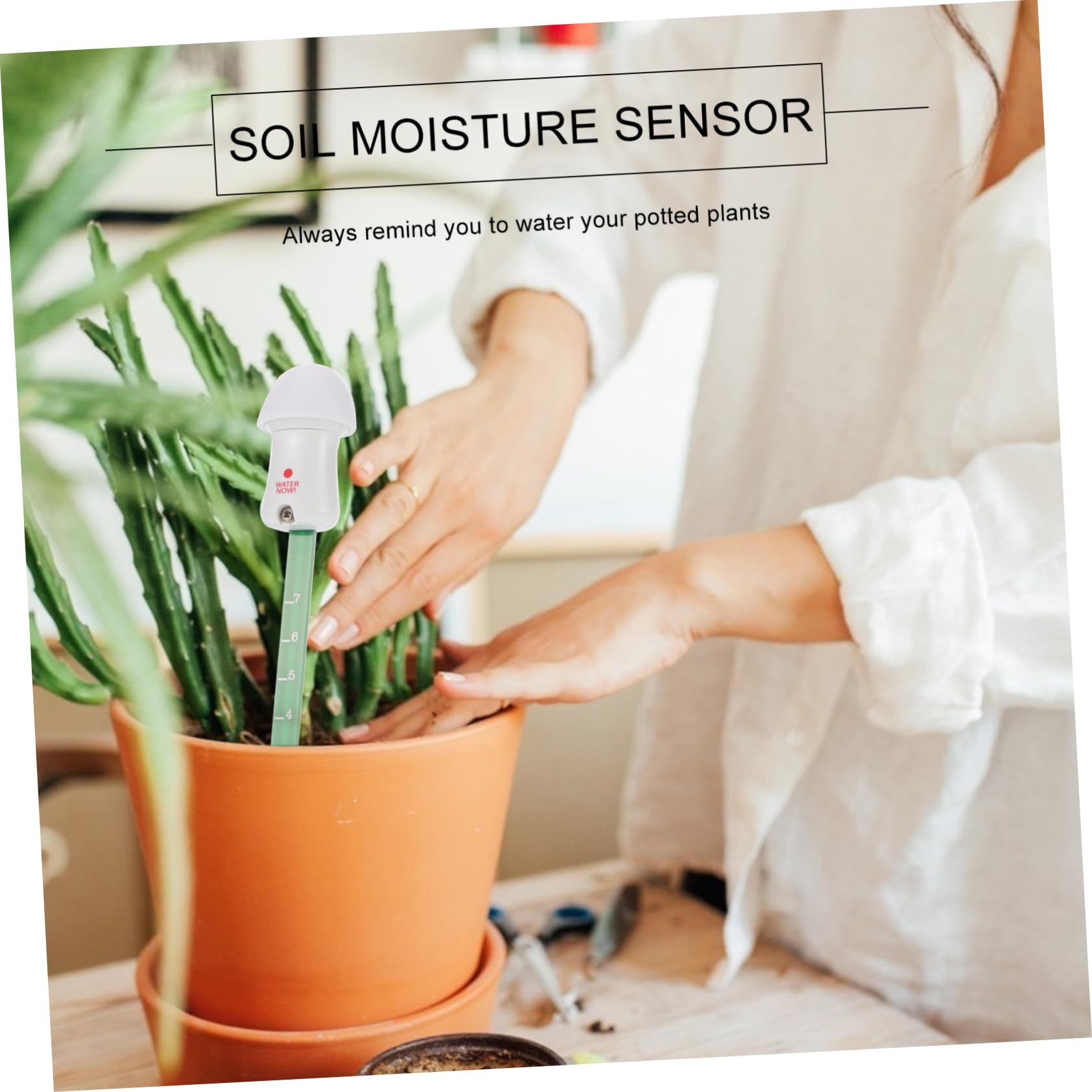 BESTonZON 3 Piezas Medidor de de Suelo Forma de con Luz LED Sensor de para Plantas y Jardín de Usar para Regalar