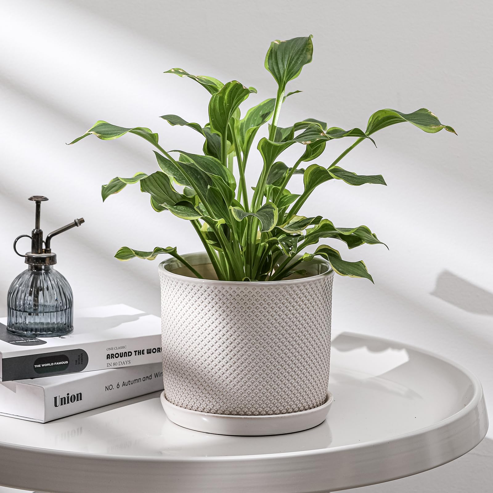 Vaso In Ceramica Nero Opaco Da 20 Cm – Con Foro Di Drenaggio E Sottovaso, Per Interni/esterni - 3