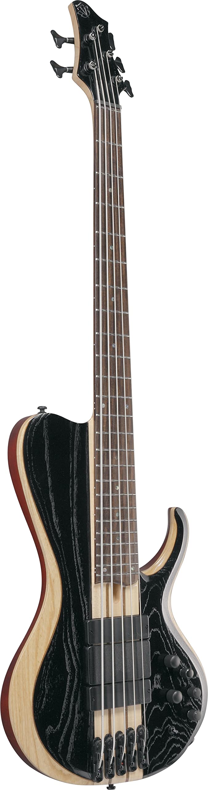 Amazon.com: Ibanez Bass Workshop BTB865SC - Bajo (5 cuerdas
