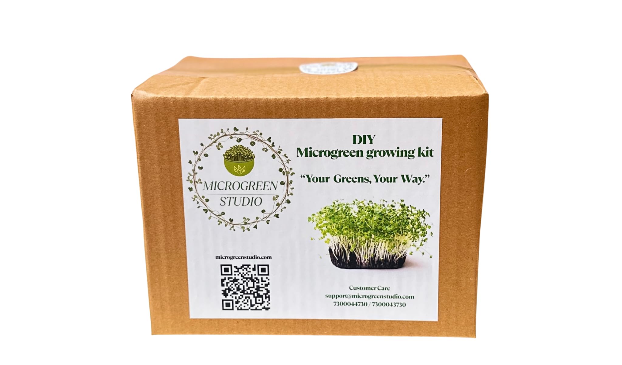 Microgreen Studio White Radish DIY Kit, 30gms Seeds with Cocopeat, Tray, Spray Bottle |All-in-One Home Gardening Kit | Grow Superfood at Home – Easy, Fun & Healthy | Gift Box Ideal for Kids & Adults-image-49