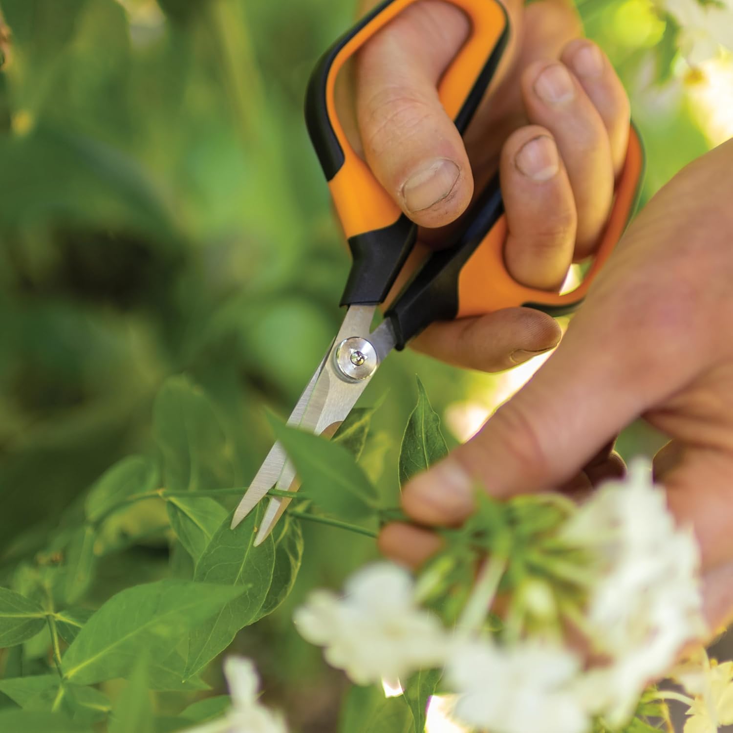 Micro-Tip Pruning Snips