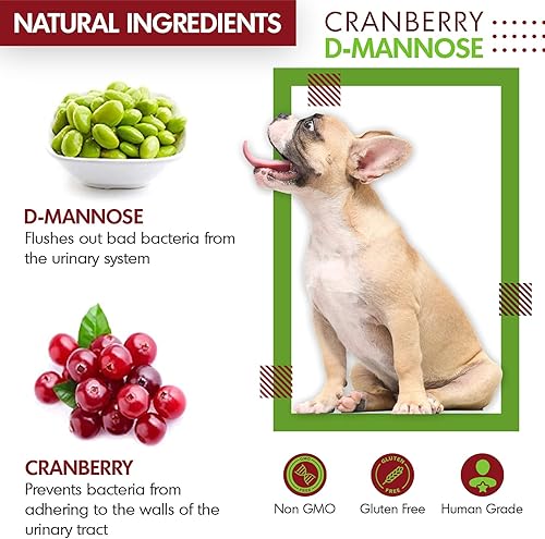 Miniatura 6 de Arándano D-manosa para perros y gatos Soporte para infecciones del tracto urinario Previene y elimina las infecciones urinarias, infección de la